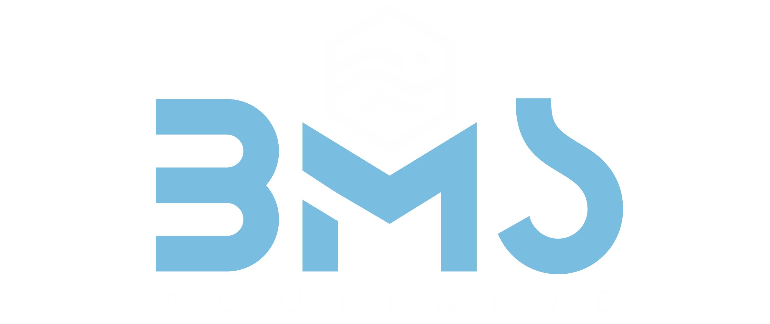 logo bms